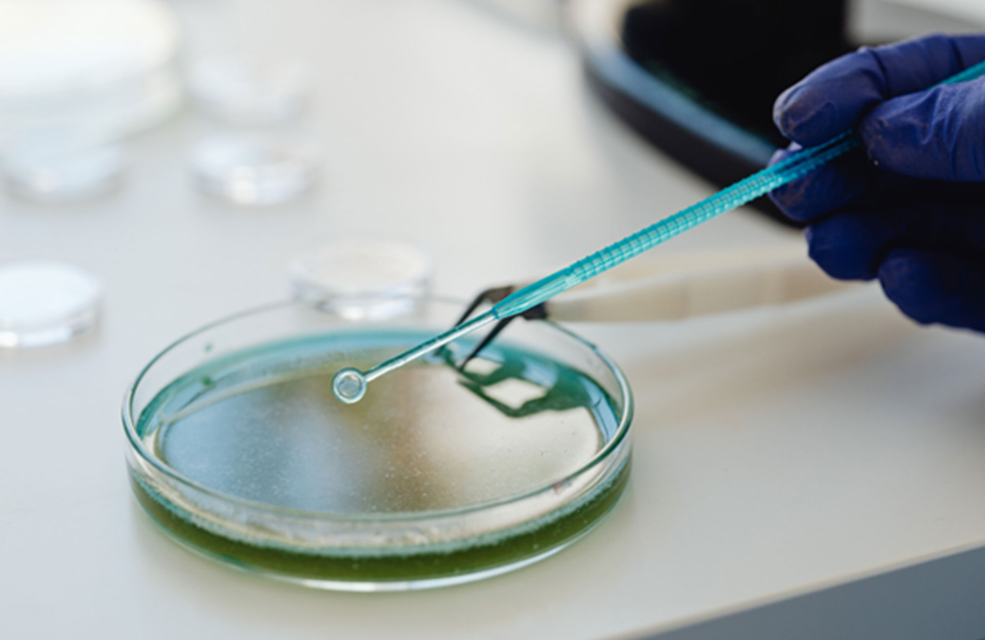 Aktiv360 | Quality, Compliance, Process Consultancy | Corporate Solutions Focused on GMP, Regulations, Validation, and Audits