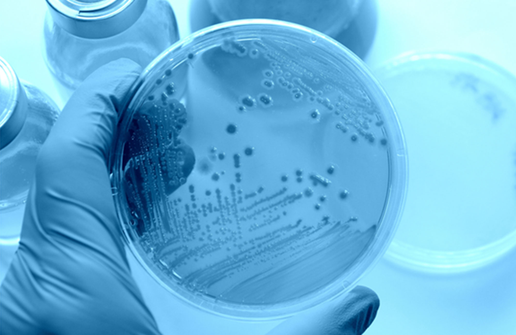 Aktiv360 | Quality, Compliance, Process Consultancy | Corporate Solutions Focused on GMP, Regulations, Validation, and Audits